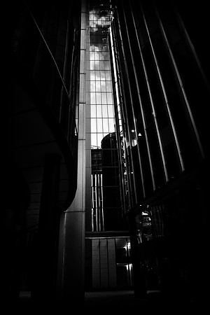 The City #7