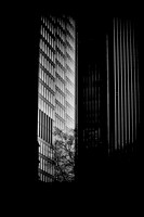 The City #8