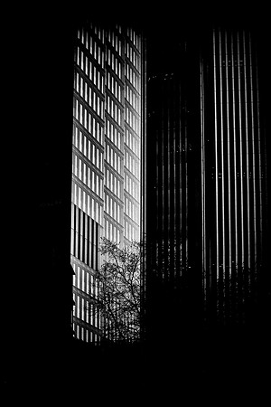 The City #8