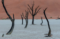 Namibia - Deadvlei