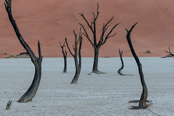 Namibia - Deadvlei