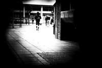 Seen-Unseen #6