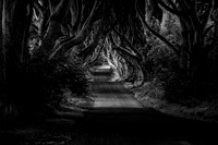 Northern Ireland