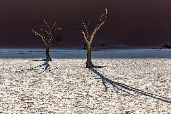 Namibia - Deadvlei