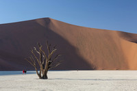 Namibia - Deadvlei