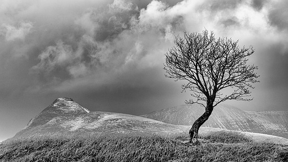 Assynt - Terry's Tree and Glas Bheinn