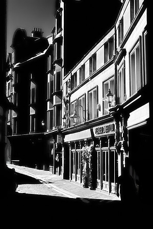 Newcastle #15