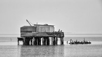 Fishing Hut #8