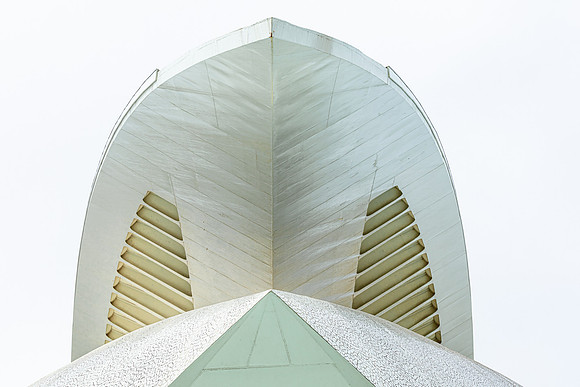Valencia - Palau de les Arts or the Cobra #7
