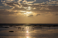 Namibia - Walvis Bay