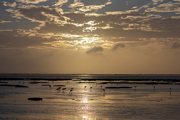 Namibia - Walvis Bay