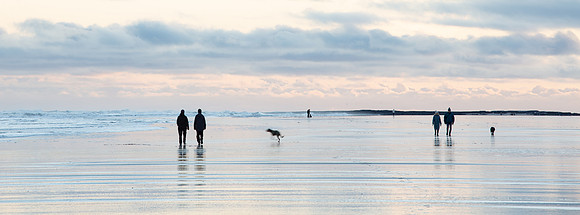 England - Northumberland - Bamburgh Beach