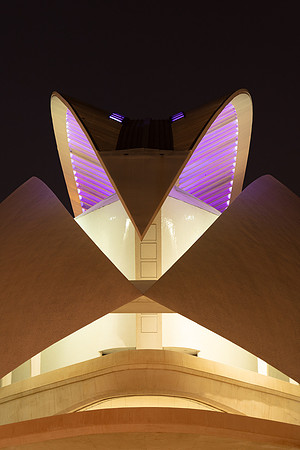 Valencia - Palau De Les Arts #4