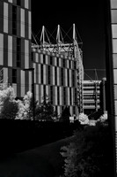 Newcastle #9