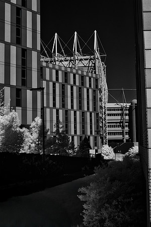 Newcastle #9