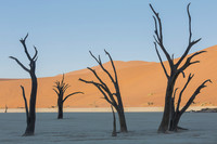 Namibia - Deadvlei