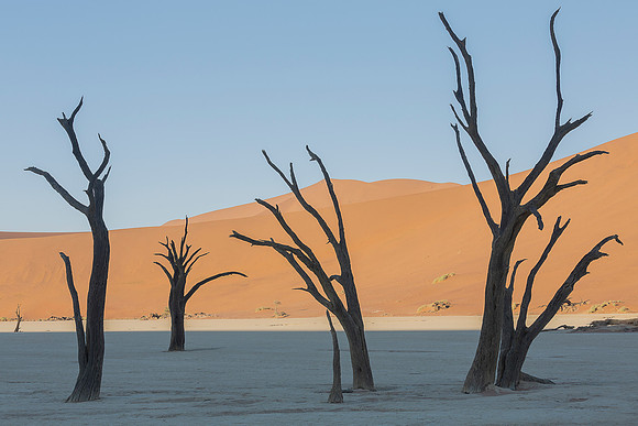 Namibia - Deadvlei