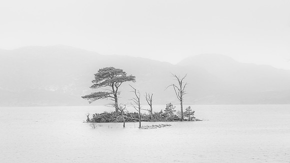 Loch Assynt - Tree Island