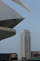 Valencia - Feeding Time