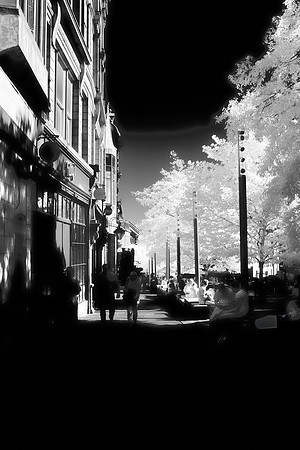 Newcastle #13