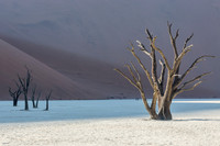 Namibia - Deadvlei