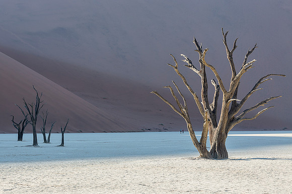 Namibia - Deadvlei