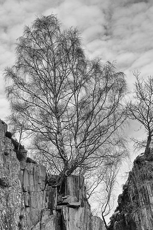 Lake District - Unknown Slate Quarry