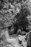Quiet Pathway