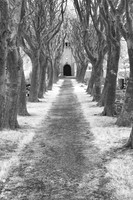 Cemetery 1