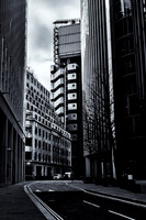 The City #1
