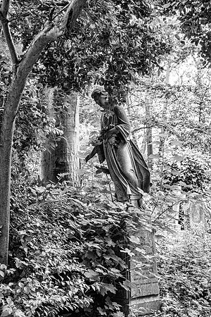 Caring for the Garden