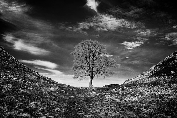 Northumberland - Sycamore Gap