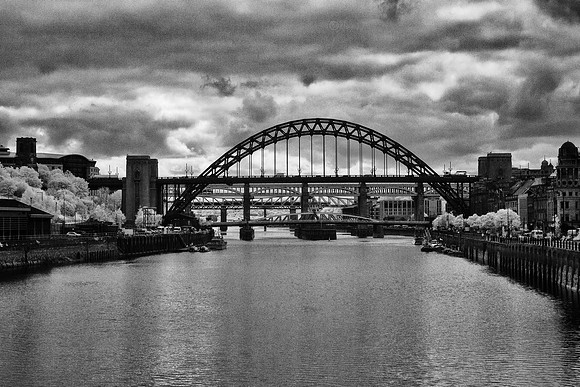 Tyne Bridges