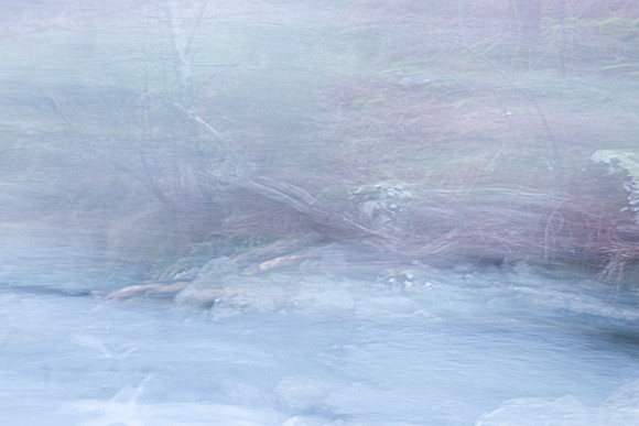 Stream Dream #1