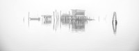 Venice - Pellestrina
