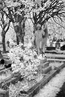 Cemetery 2