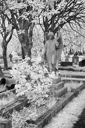 Cemetery 2