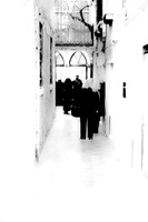 Seen-Unseen #8