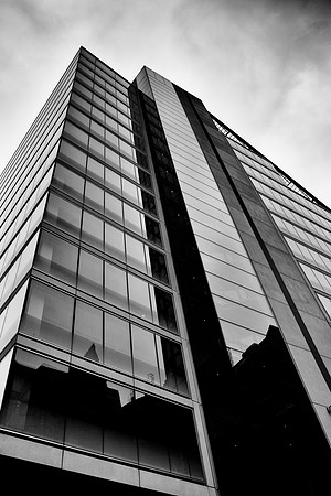The City #5