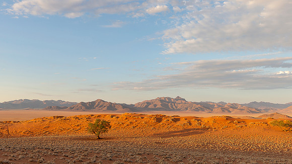 Namibia - Namib Rand