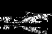 Newcastle #12