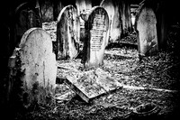 London - Highgate Cemetery - Study